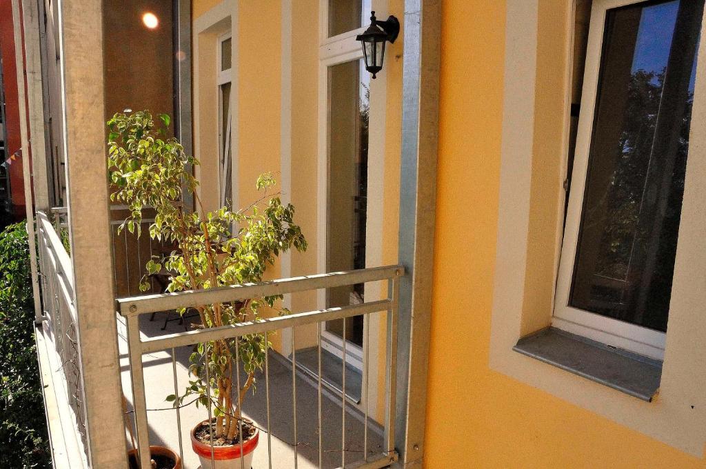 Haus Ludwig Appartement Dresden Buitenkant foto